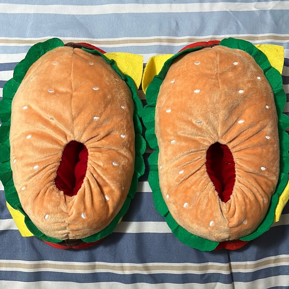 Hamburger slippers Never worn